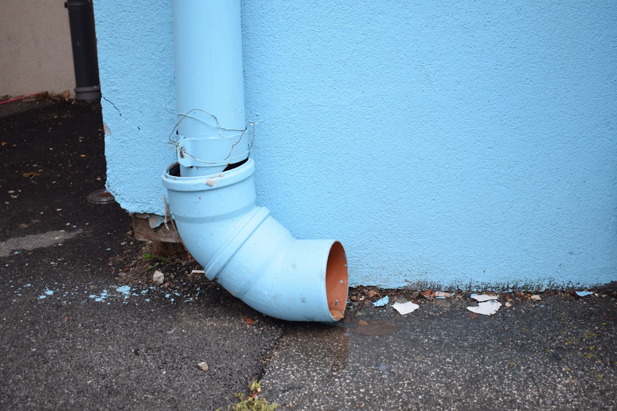 Mold Remediation service in Niagara Falls, NY