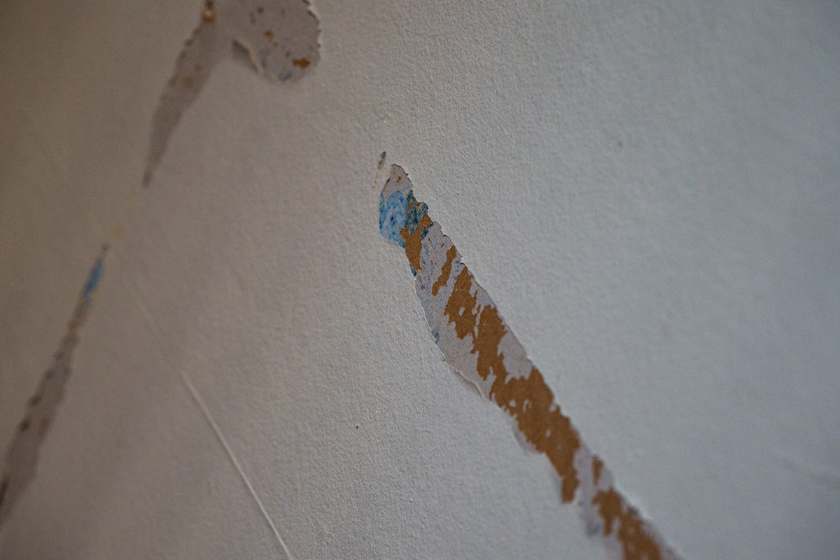 Water Extraction service in Niagara Falls, NY